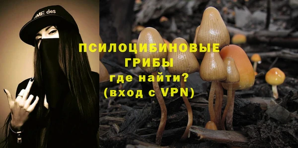 PSILOCYBIN Бугульма